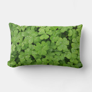 Grüner frischer Shamrock, glücklicher St. Patricks Lendenkissen