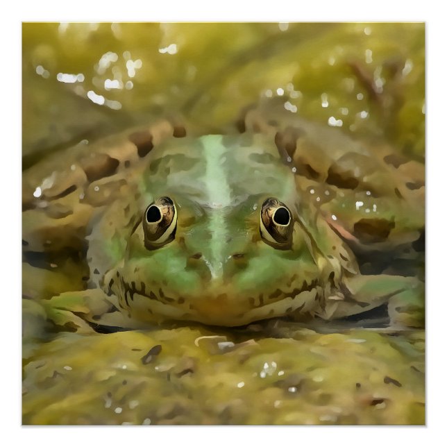 Grüner Frosch, gekämmt gegen Wetterbedingungen Poster (Vorderseite)