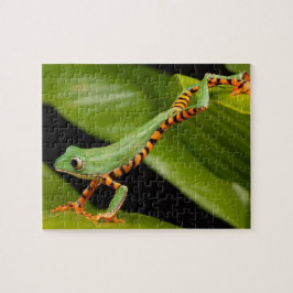 Grüner Frosch im Regenwald Puzzle