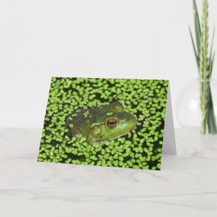Grüner Frosch Karte