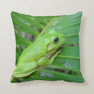 Grüner Frosch Kissen