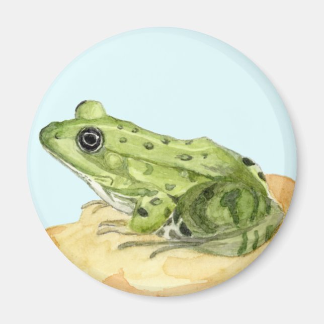 Grüner Frosch Magnet (Vorne)