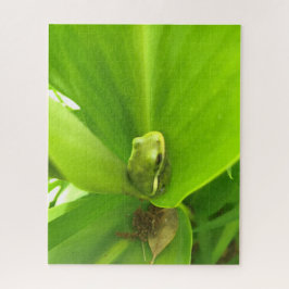 Grüner Frosch Puzzle