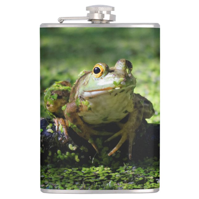 Grüner Frosch schlägt eine Pose auf dem Schlauch Flachmann (Vorderseite)
