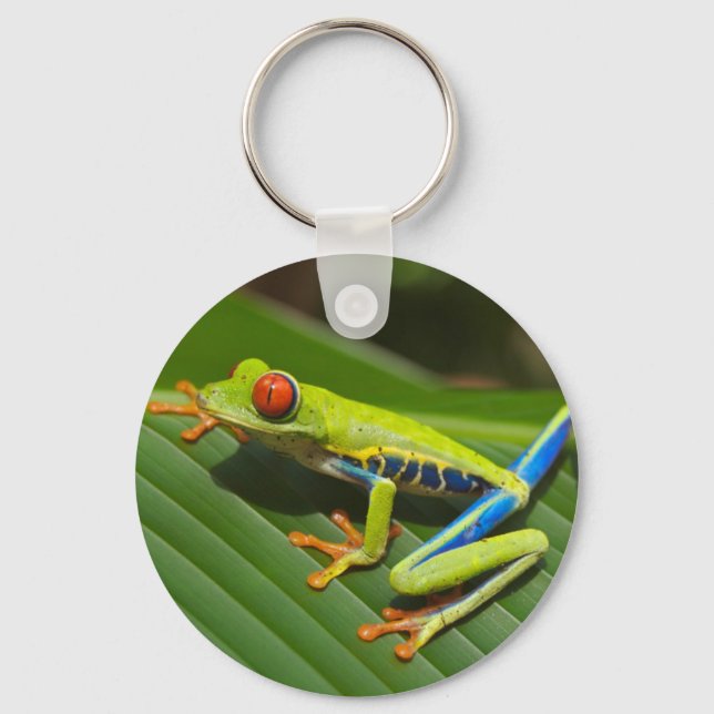 Grüner Frosch Schlüsselanhänger (Vorderseite)