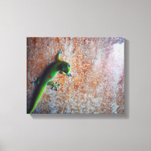 Grüner Gecko-Leinwand-Druck Leinwanddruck