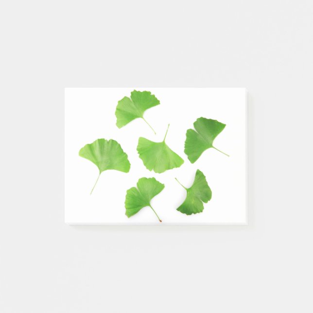 Grüner Ginkgo Biloba Post-it Klebezettel (Vorderseite)