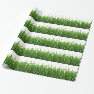 Grüner Gras Hintergrund Geschenkpapier