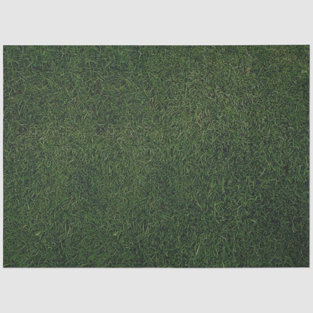 Grüner Gras Hintergrund Seidenpapier (Vorderseite)