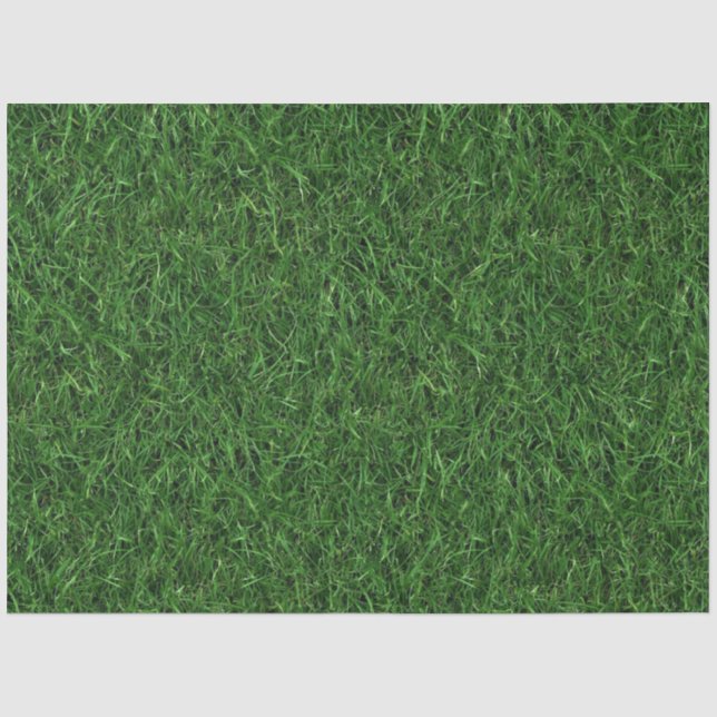 Grüner Gras Hintergrund Seidenpapier (Vorderseite)