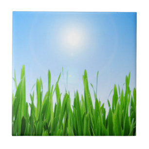 Grüner Grasgarten mit Blau Himmel Design Fliese