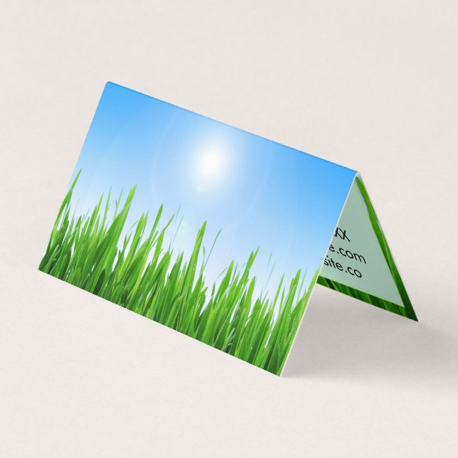 Grüner Grasgarten mit Blau Himmel Design Visitenkarten (Vorderseite)