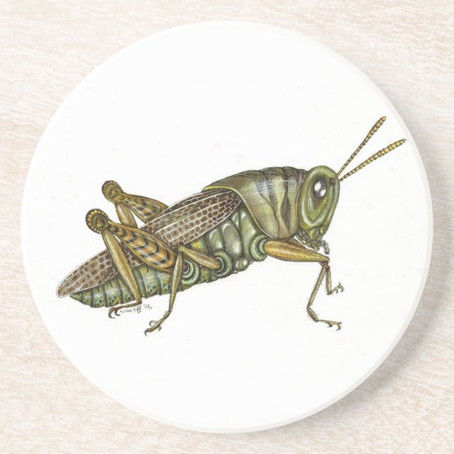 Grüner Grasshopper Untersetzer (Vorne)