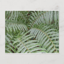 Grüner Grüner Grüner