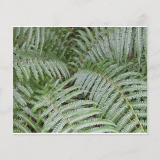 Grüner Grüner Grüner Flyer