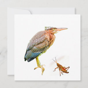 Grüner Held und Grasshopper