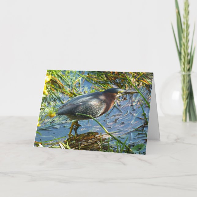 "Grüner Heron 1."Grußkarte Karte (Vorderseite)