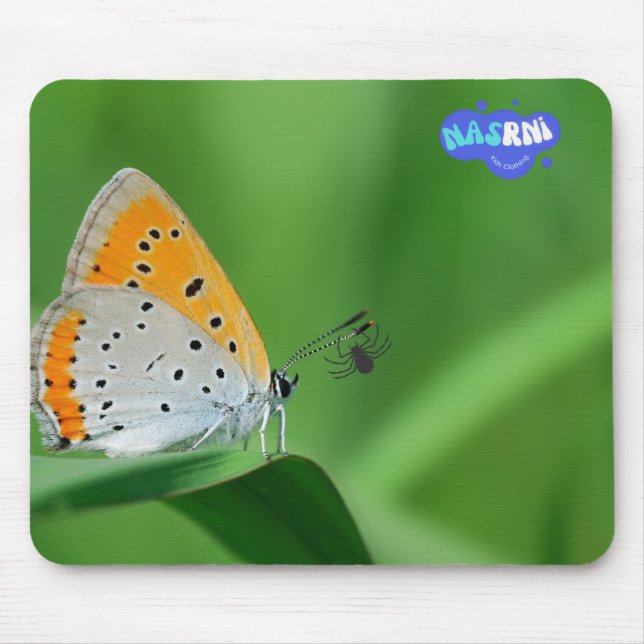 Grüner Hintergrund & gelber, weißer Schmetterling  Mousepad (Vorne)