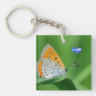 Grüner Hintergrund & gelber,weißer Schmetterling & Schlüsselanhänger
