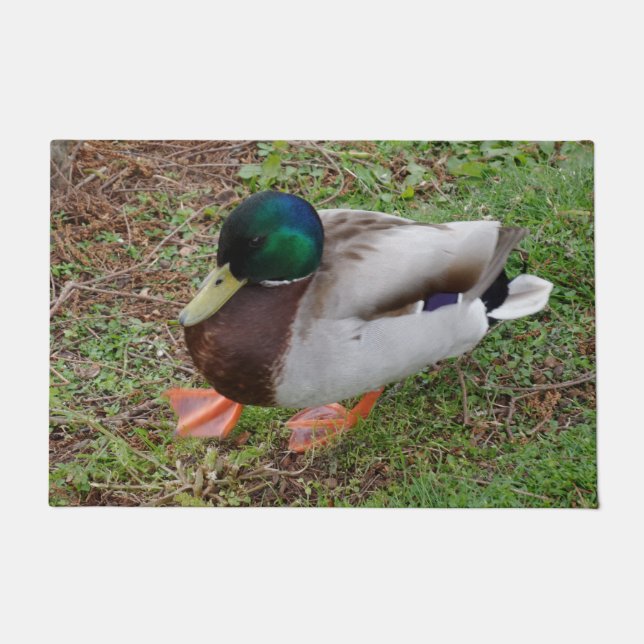 Grüner Kopf Duck Door Mat Fußmatte (Vorderseite)