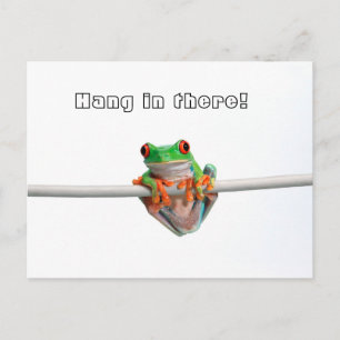Grüner Laubfrosch - Hänge... Postkarte