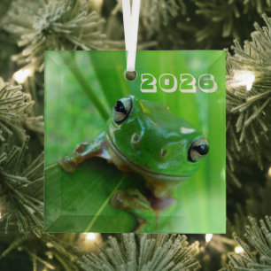 Grüner Laubfrosch-Schmuck Ornament Aus Glas