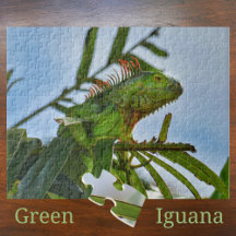 Grüner Leguan in einer Palme Fotografisches Puzzle