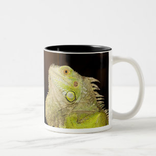 Grüner Leguan (Leguan-Leguan) Zweifarbige Tasse