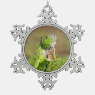 Grüner Leguan-Porträt   Reptilien-Fotografie Schneeflocken Zinn-Ornament