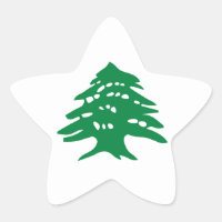 Grüner Libanon Zedernbaum