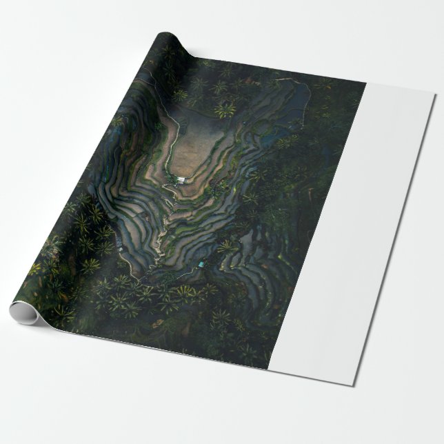 Grüner Moos auf schwarzem Felsen Geschenkpapier (Ungerollt)
