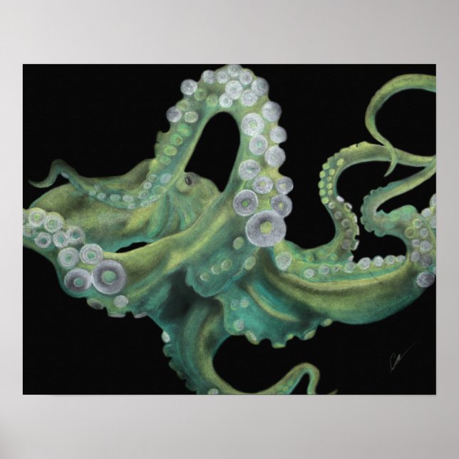 Grüner Oktopus 20 x 16 Poster (Vorne)