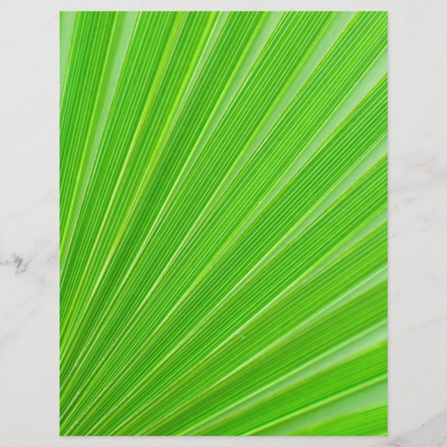 Grüner Palmenblatthintergrund Flyer (Vorne)