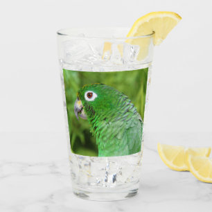 Grüner Papagei - Glas