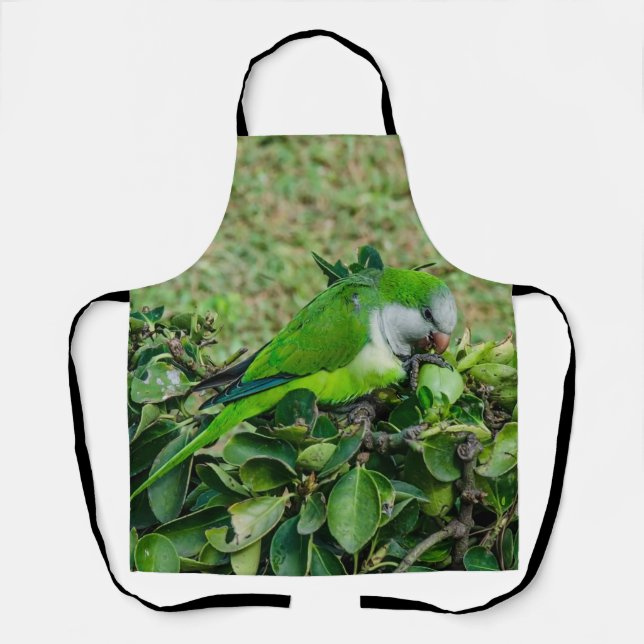Grüner Papagei Schürze (Vorderseite)