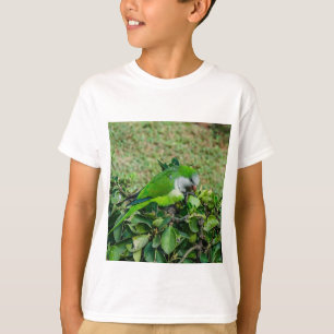 Grüner Papagei T-Shirt