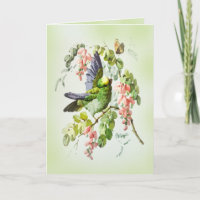 Grüner Papagei und rosa Akazien Blume Vintag