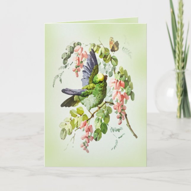 Grüner Papagei und rosa Akazien Blume Vintag Karte (Vorderseite)