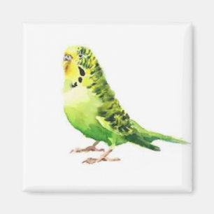 Grüner Parakeet Magnet