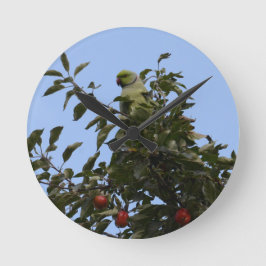 Grüner Paraketit Runde Wanduhr