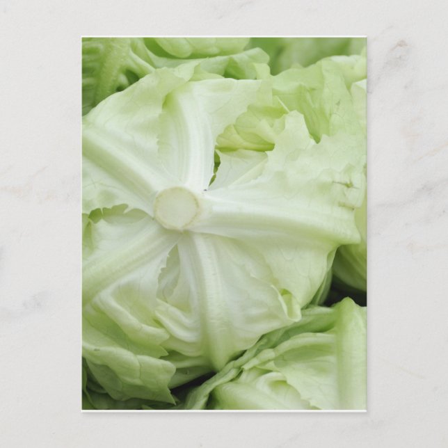 Grüner Salat Postkarte (Vorderseite)