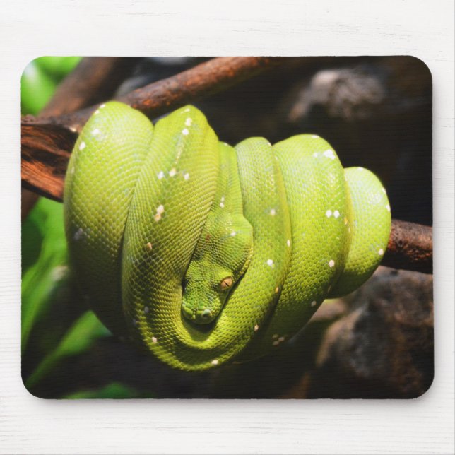 Grüner Schlangenreptil Mousepad (Vorne)