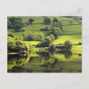 Grüner See Postkarte