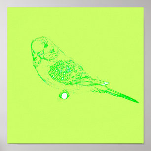 Grüner Sittichposter Poster
