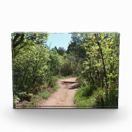 Grüner Spazierweg Fotoblock