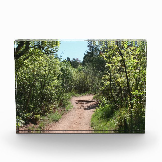 Grüner Spazierweg Fotoblock (Vorderseite)