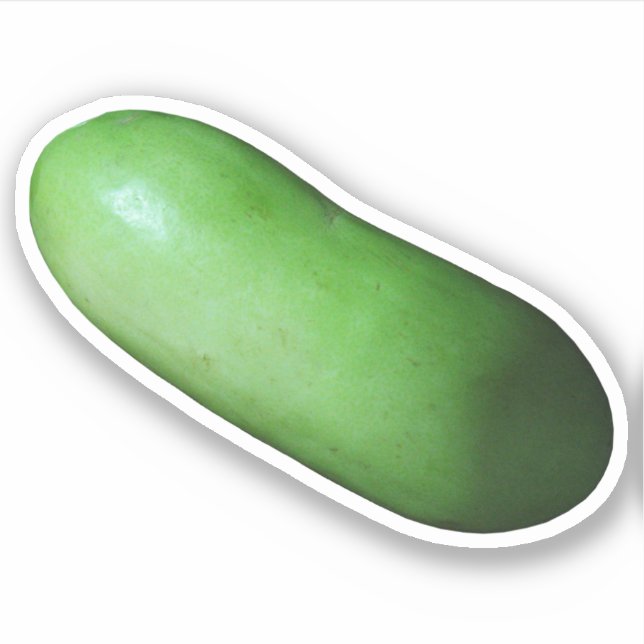 Grüner Squash (Winter Melon) Aufkleber (Vorderseite)