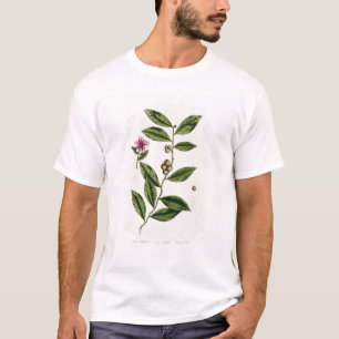 Grüner Tee, überziehen 351 von "einem neugierige T-Shirt