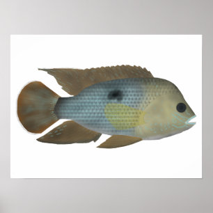 Grüner Terror Poster