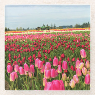 Grüner Traktor in Tulip Field, Oregon Glasuntersetzer